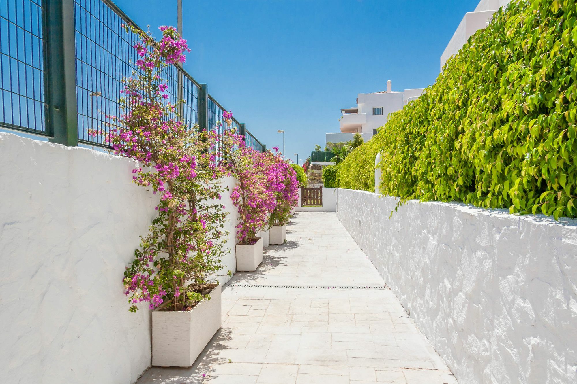 Golf Hill Estepona Canovas المظهر الخارجي الصورة